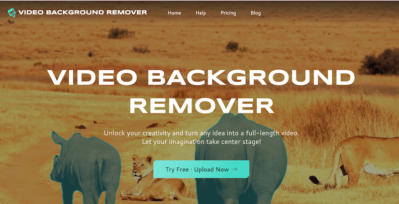 VIDEO BACKGROUND REMOVER:一键移除视频背景,让创作更自由