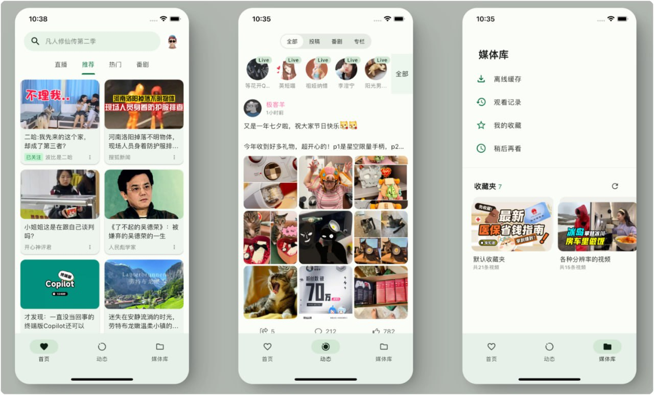 PiliPlus:使用Flutter开发的BiliBili第三方客户端