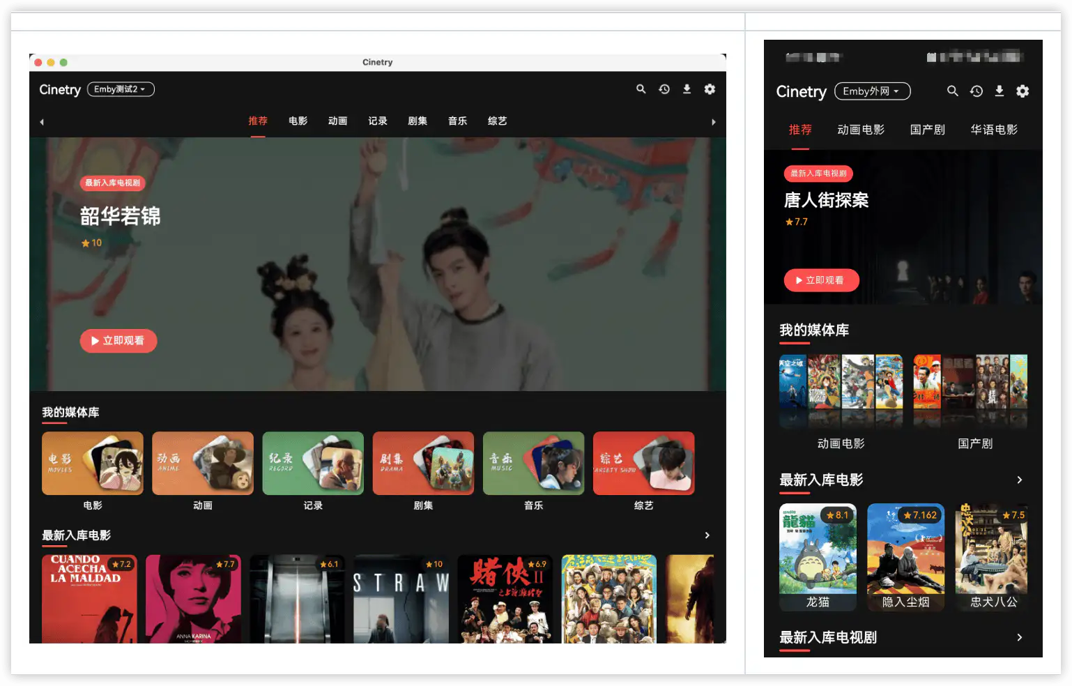 Cinetry:跨平台Jellyfin,Emby视频播放器,专为影视媒体爱好者设计,免费全平台