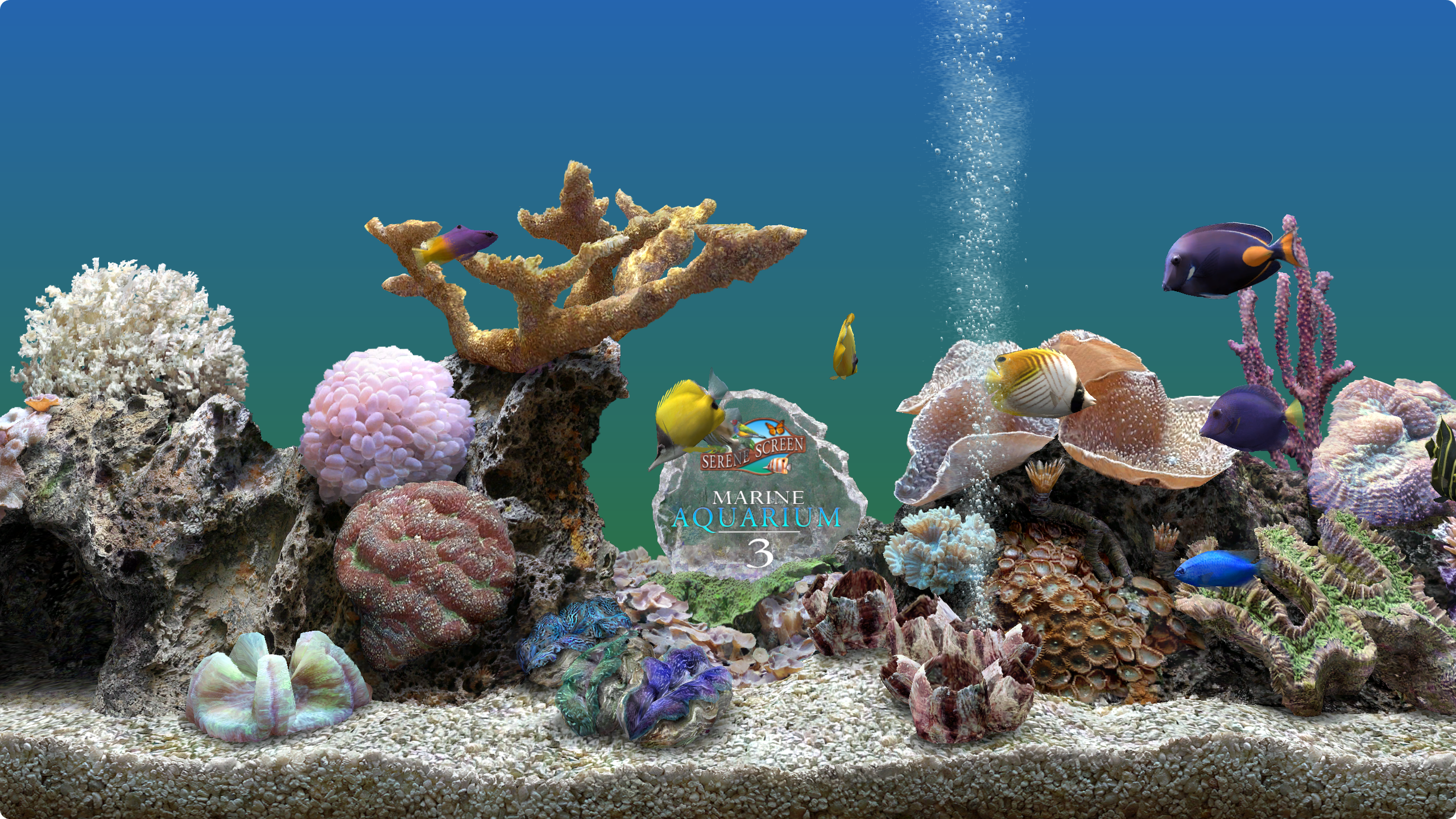 3D热带水族鱼屏保 SereneScreen Marine Aquarium 3.3.6341 中文汉化免注册版,效果逼真,电子鱼缸