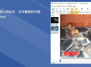 [windows]视频去水印工具RemoveLogoNow4.0