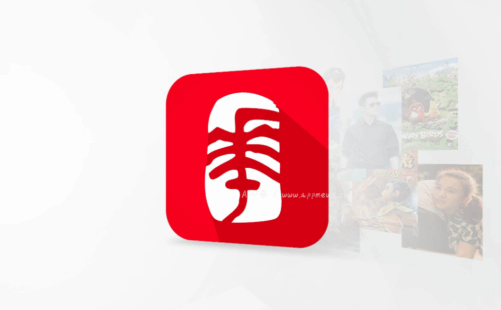 华文电视Pro：现阶段体验最好的电视软件