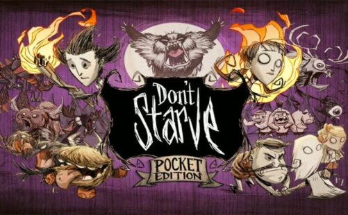 饥荒联机版 单机/局域网联机