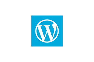 wordpress给你文章增加更新时间显示