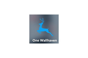One Wallhaven一款基于 Electron 壁纸客户端