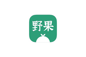 野果阅读,自带多书源,包含飞卢