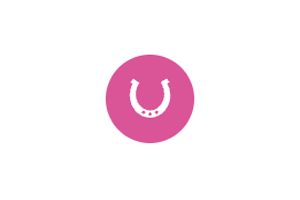 Icon Horse 获取任何网站的图标favicon,做导航站必备