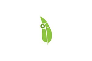 Fast Mail Bomber：爬取公共 Mailman 接口实现千量级邮件轰炸机