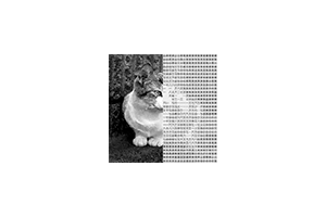 MojiPhoto:图片文字化生成器