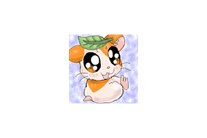 绘图留言板 PHP 网站源码程序