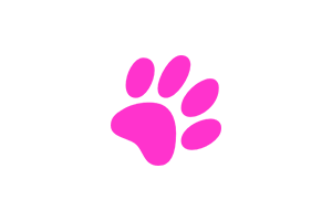 Coding Cat：喜欢听 Lo-fi 音乐的「代码猫」，专为编程爱好者设计的 Lo-fi 音乐网站