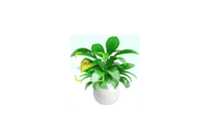 Plant Parent Premium我的植物养护指南1.81 专业护理手册