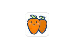 萝卜头文档下载器:一站式文档搜索与下载工具,轻松获取各类文档资源