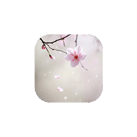 Falling:让樱花花瓣飘落在你的 Mac 桌面上,瞬间提升桌面的浪漫氛围