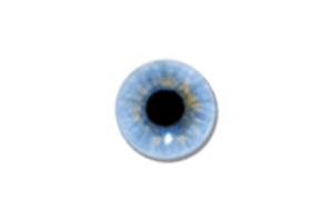 Visuwords:一个在线交互式英语词典,快速生成单词关系图谱