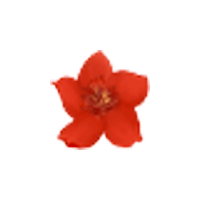 小红花音效助手：免费内置几千款常用音效的音效助手，即点即用