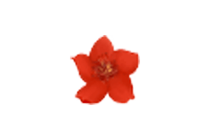 小红花音效助手：免费内置几千款常用音效的音效助手，即点即用