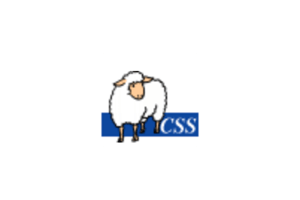 CSS Validation Service:检查层叠样式表(CSS)文档和HTML或者XHTML文档中的CSS内容正确性