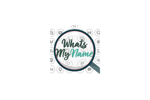 WhatsMyName – 免费开源的 OSINT(开源情报)工具,允许用户在 1000+ 主流平台上搜索匹配给定姓名、昵称或用户名的账户,查看自己暴露的隐私数据